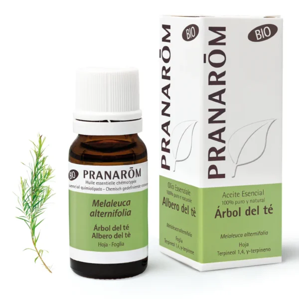 Árbol Del Te Bio 10 ML Pranarom