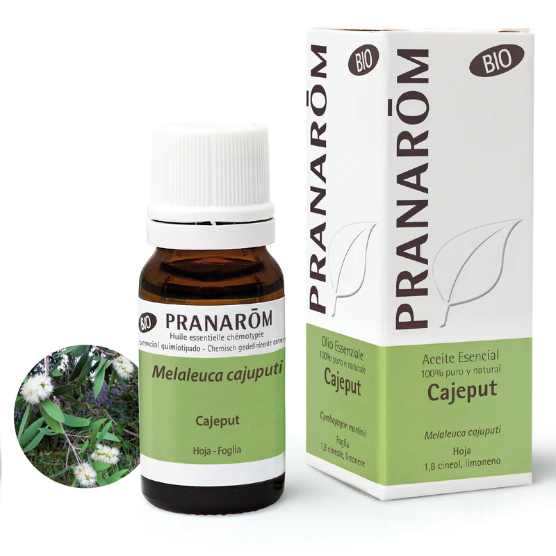 Cajeput Hoja Bio 10ml Pranarom