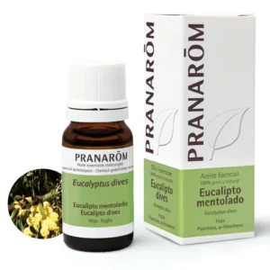 Eucalipto Mentolado 10 ml 10…