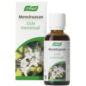Menstruasan Ciclo Menstrual …