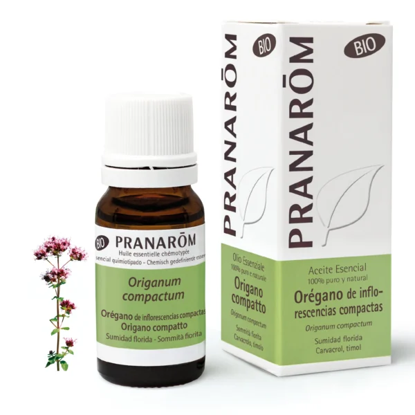Oregano 10 ml Bio Pranarom