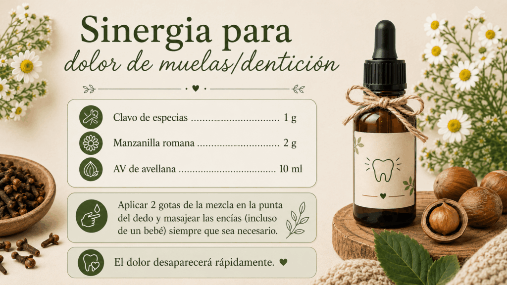 SINERGIA DENTICIÓN