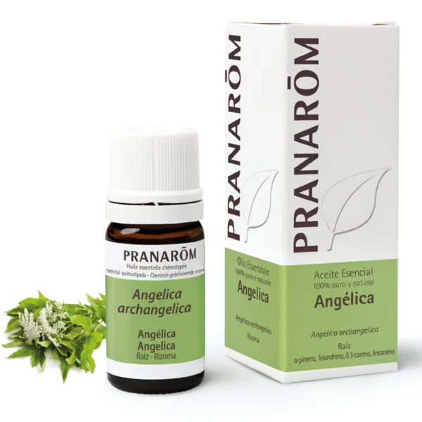 Angelica 5 ml Pranarom