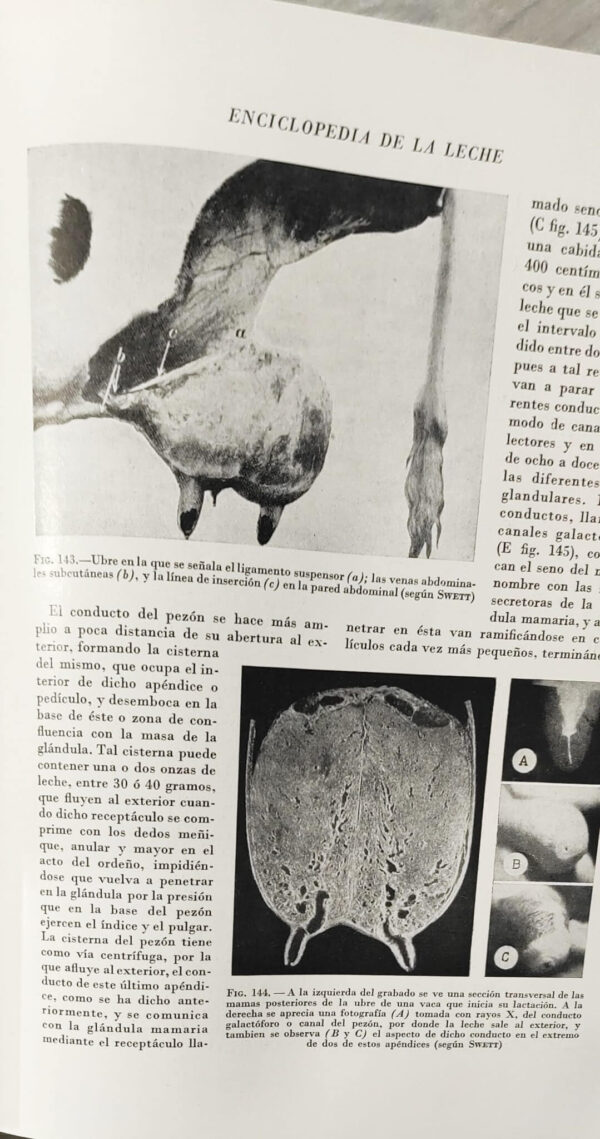 Enciclopedia de la Leche - Imagen 2