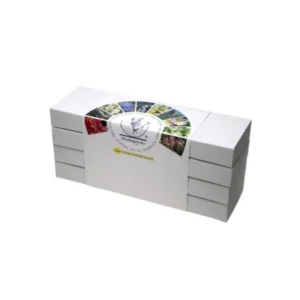 Set Flores de Bach 30 ML Healingherbs