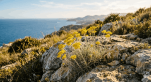 <strong>Siempreviva Amarilla: El Elixir Dorado para Sanar el Alma</strong>