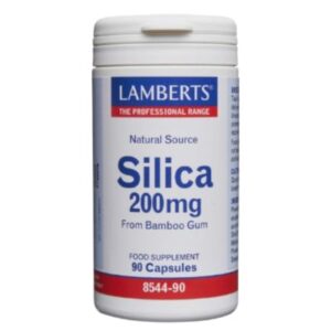 Silicio 200Mg 90comp Lamberts